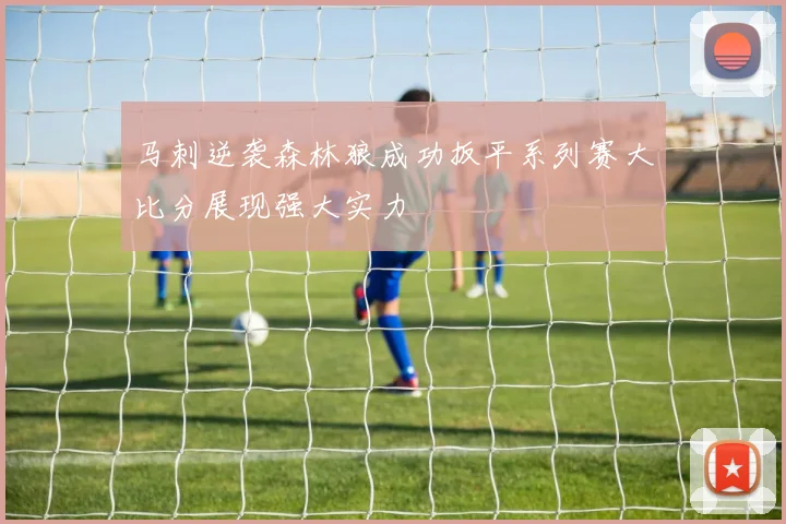 马刺逆袭森林狼成功扳平系列赛大比分展现强大实力